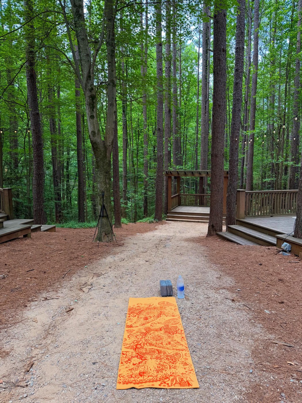 Wooden deck in the forest with yoga mat